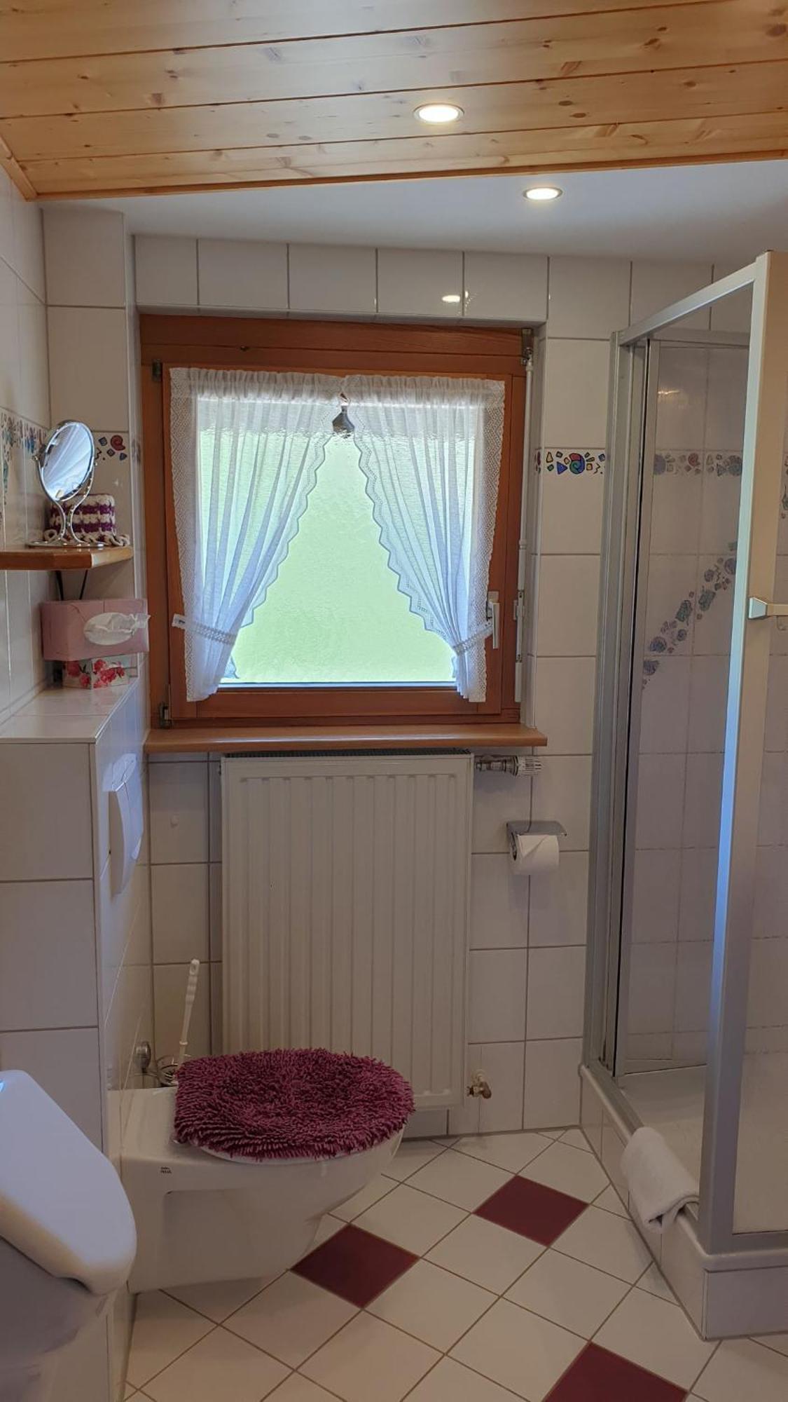Haus Am Kreuzbuehl Apartment Dachsberg im Schwarzwald ภายนอก รูปภาพ