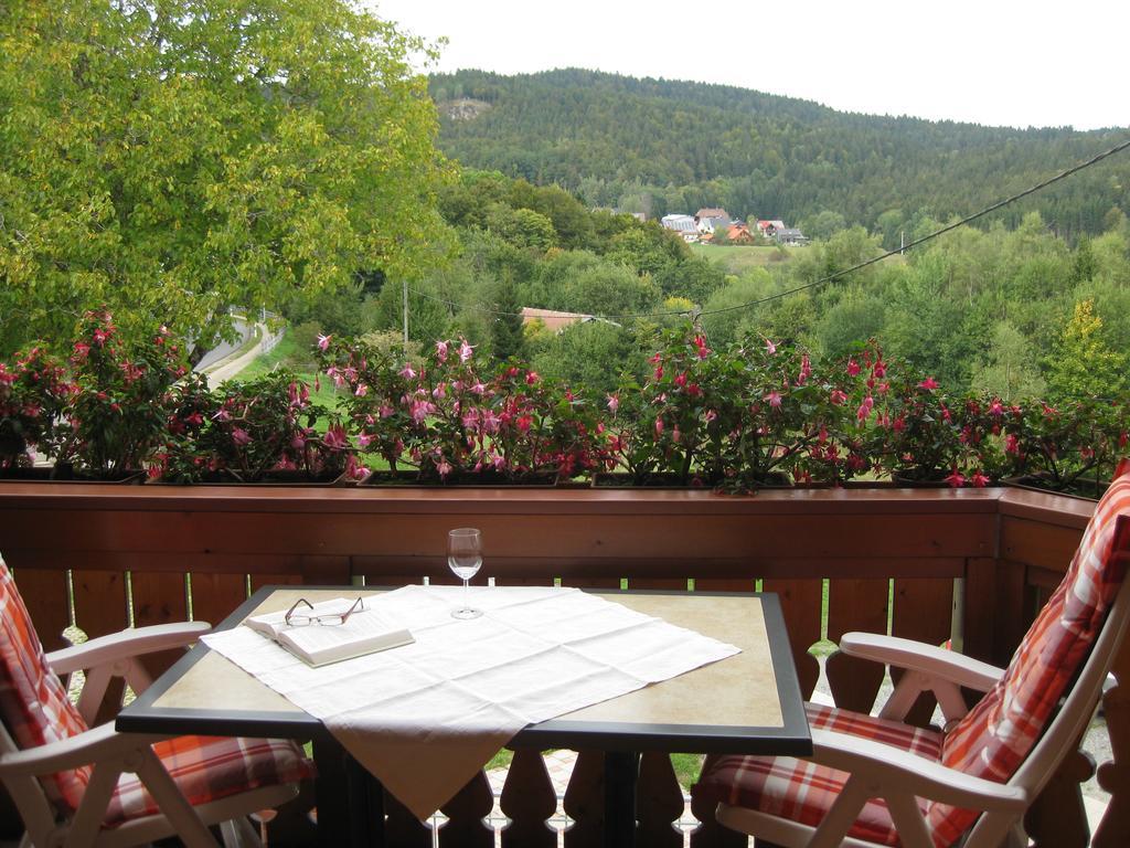 Haus Am Kreuzbuehl Apartment Dachsberg im Schwarzwald ภายนอก รูปภาพ
