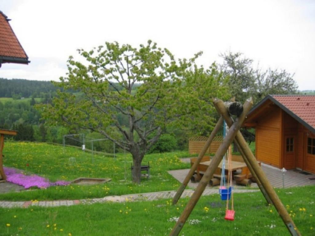 Haus Am Kreuzbuehl Apartment Dachsberg im Schwarzwald ภายนอก รูปภาพ