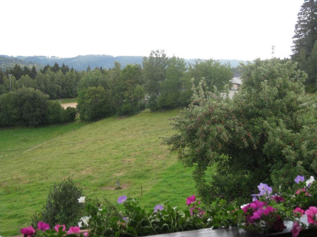 Haus Am Kreuzbuehl Apartment Dachsberg im Schwarzwald ภายนอก รูปภาพ