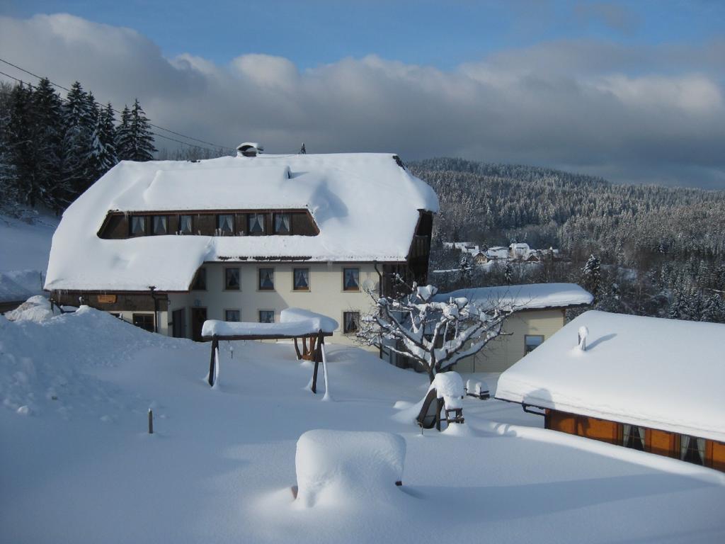 Haus Am Kreuzbuehl Apartment Dachsberg im Schwarzwald ภายนอก รูปภาพ